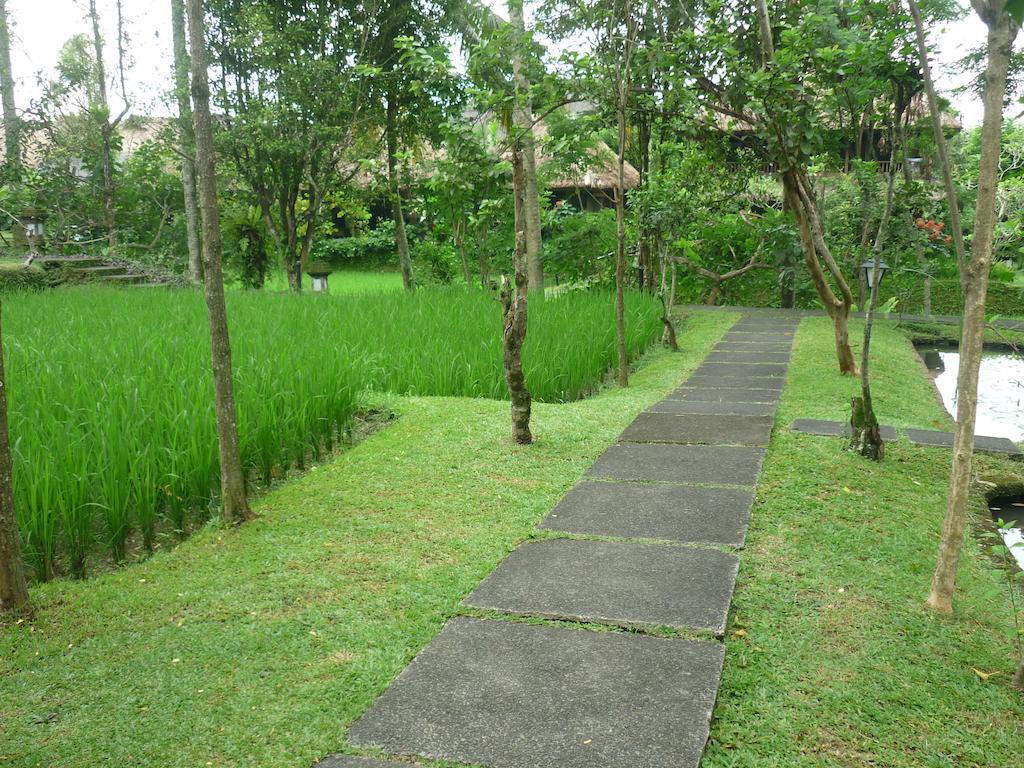 Ananda Ubud Resort Exteriér fotografie