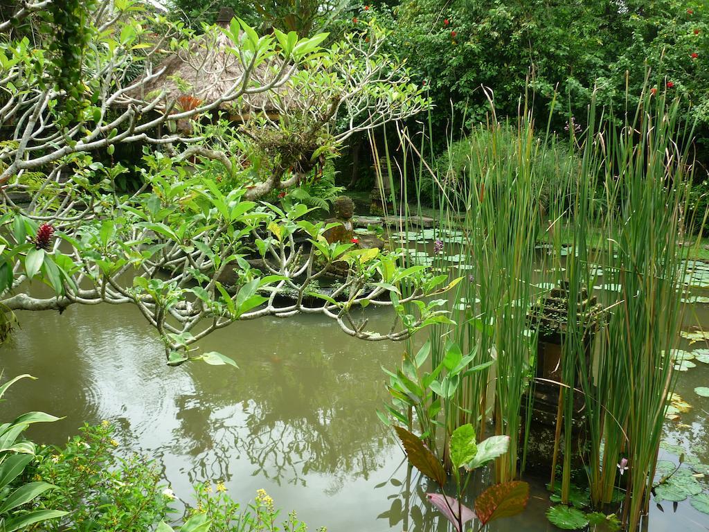 Ananda Ubud Resort Exteriér fotografie