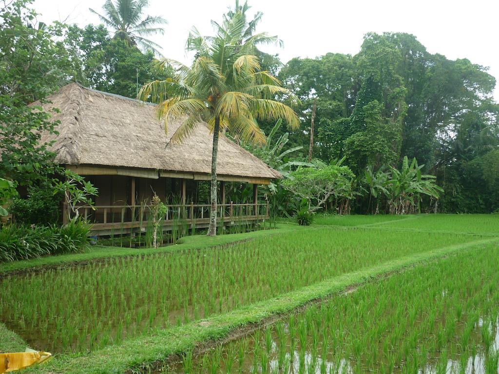 Ananda Ubud Resort Exteriér fotografie