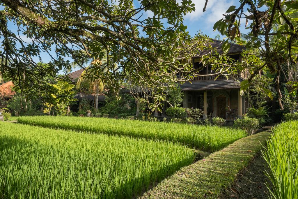 Ananda Ubud Resort Exteriér fotografie