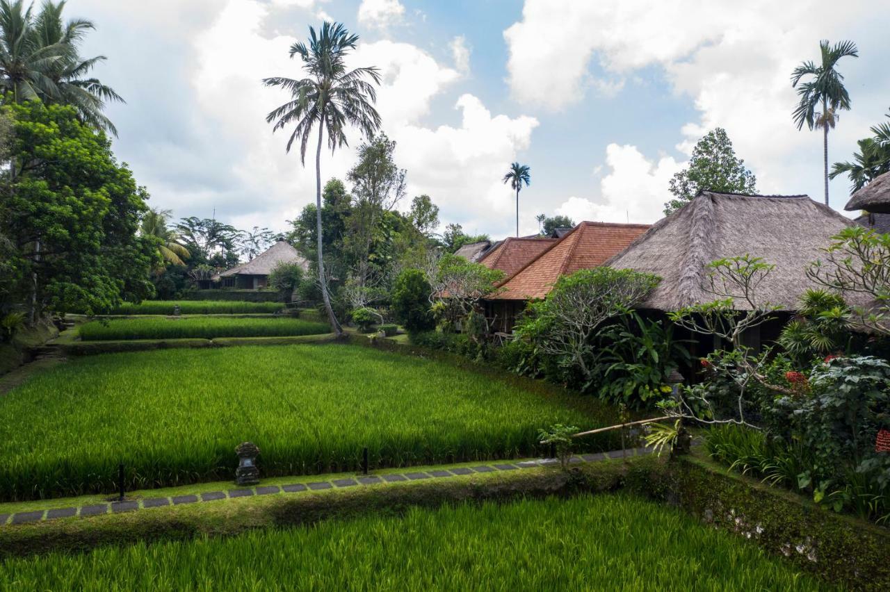 Ananda Ubud Resort Exteriér fotografie