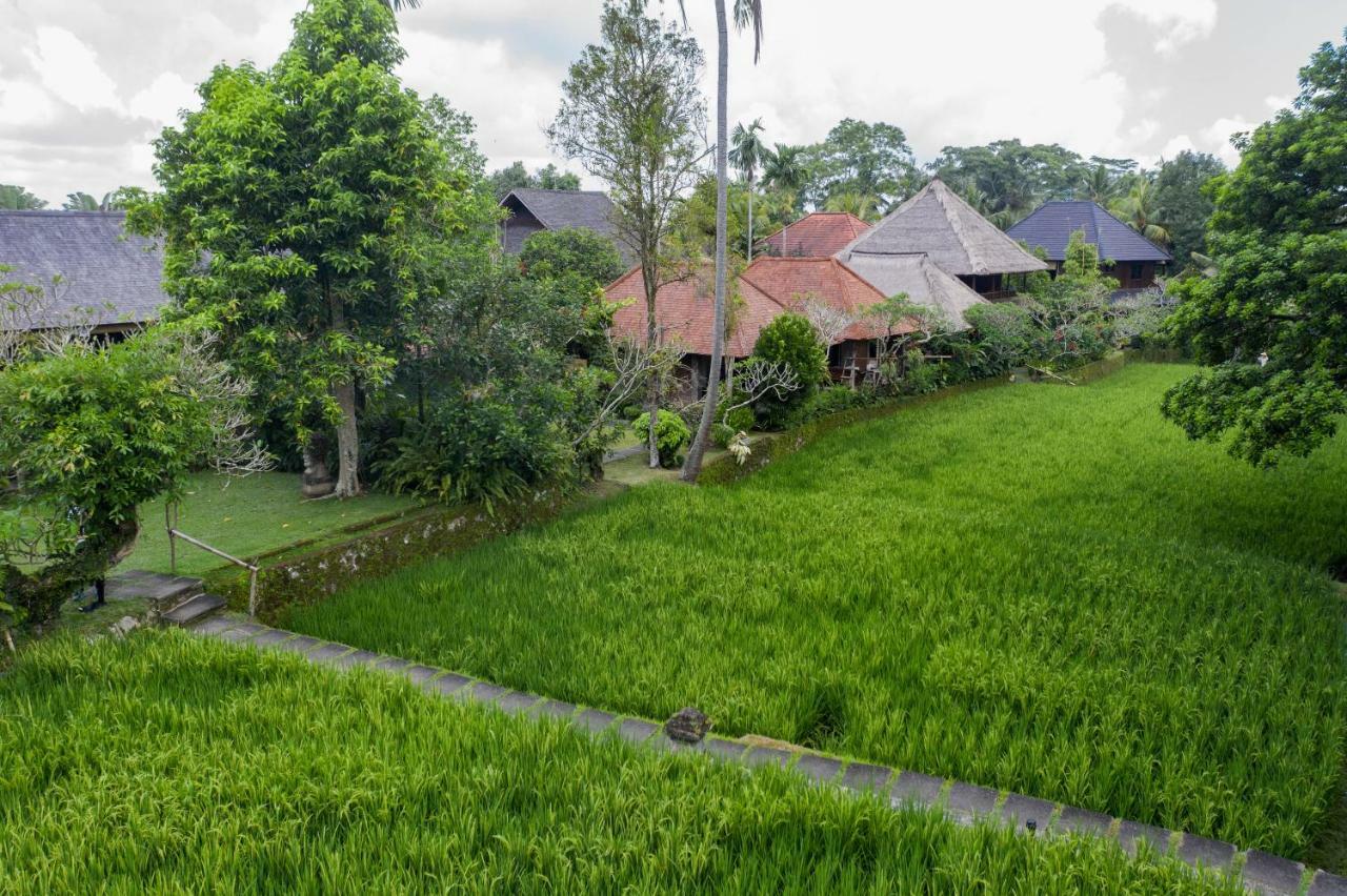 Ananda Ubud Resort Exteriér fotografie